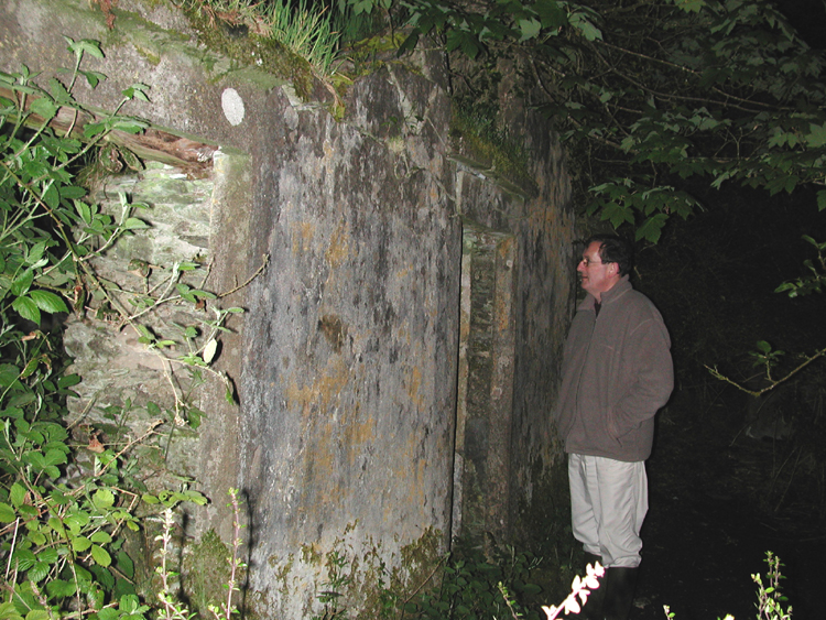 Colum Cronin at Swanton ruins, Lissicorrane.jpg 484.1K